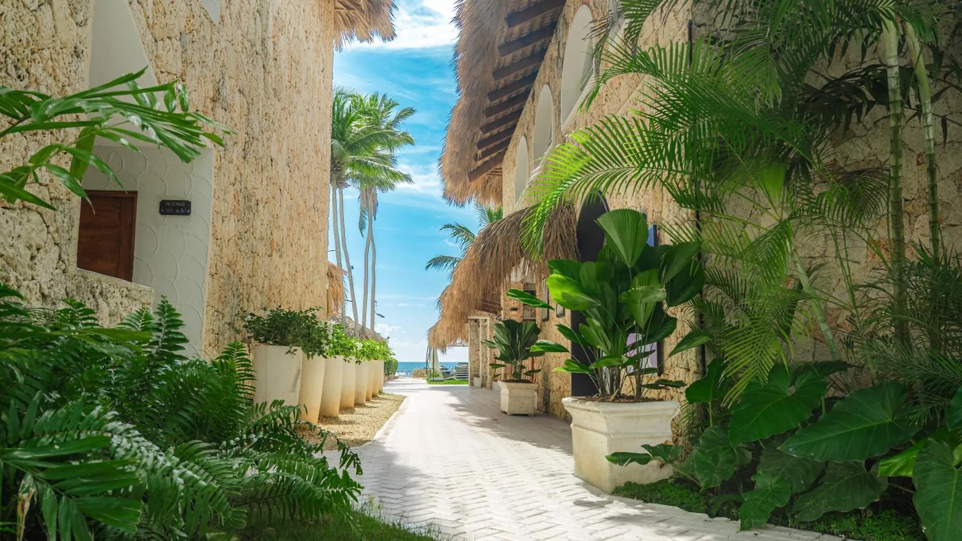 Tribe Resort Guayacanes